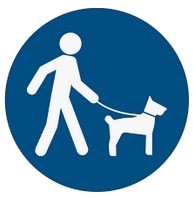 chien en laisse
