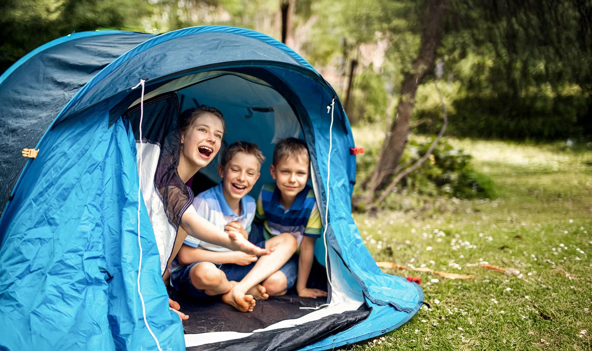 Family camp pitches